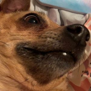 Meet your Posher, Bailee